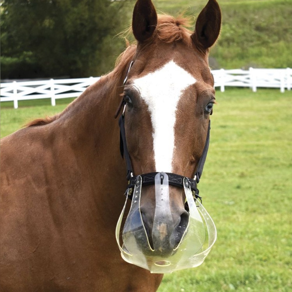 Thinline Flexible Filly Turnout Halter NWT Horse - Picture 6 of 8
